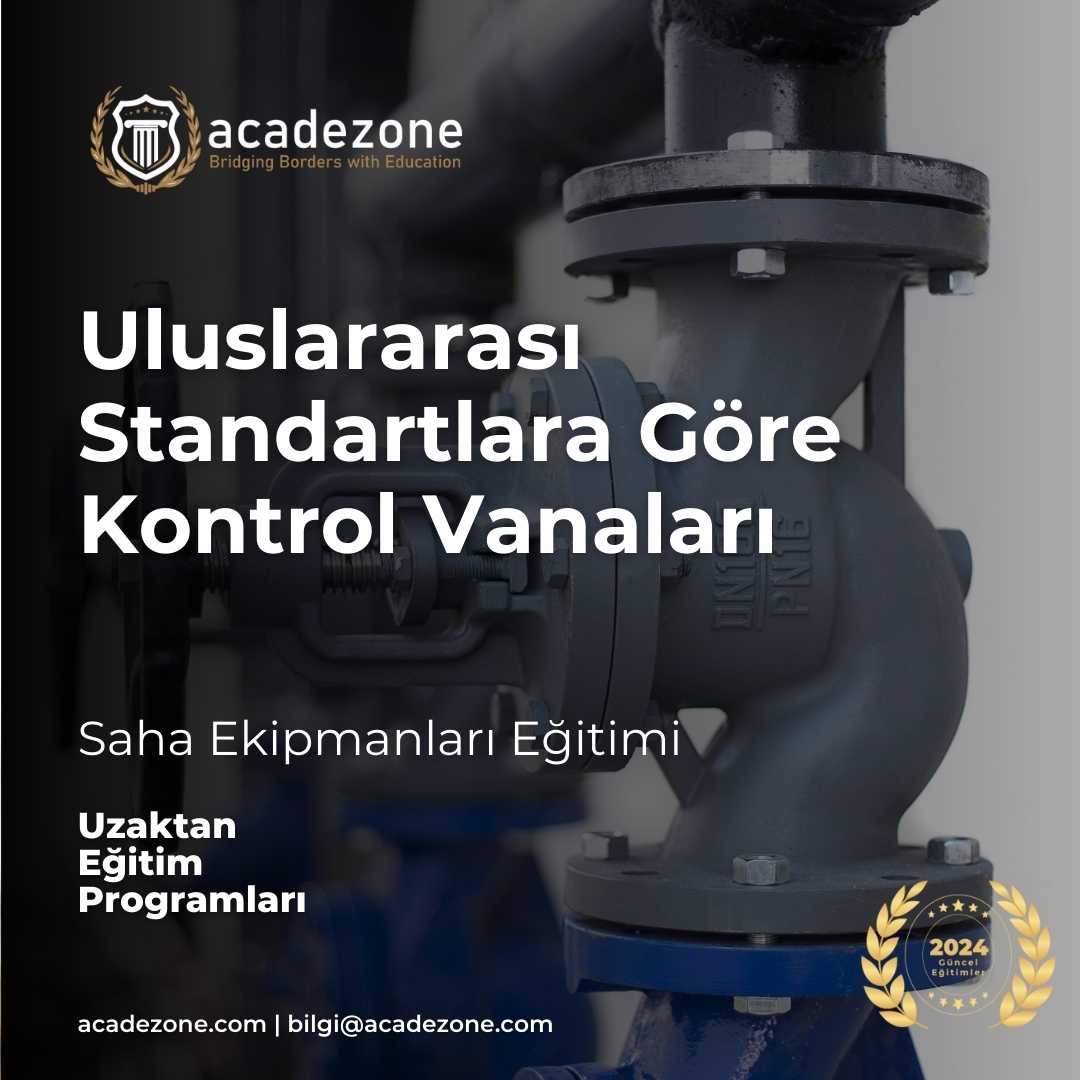Uluslararası Standartlara Göre Kontrol Vanaları